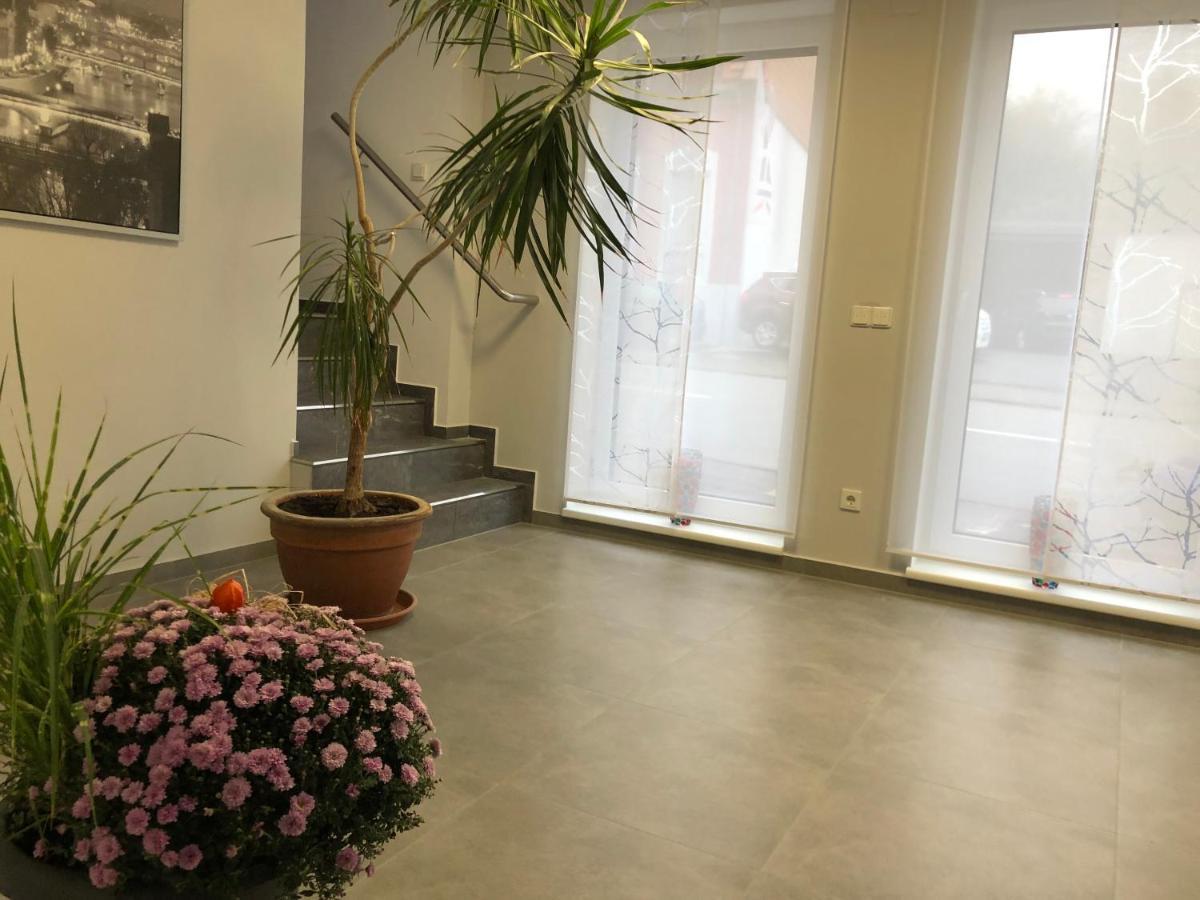 Gaestehaus Residenz Aurora Hotel Friedrichsthal Eksteriør billede